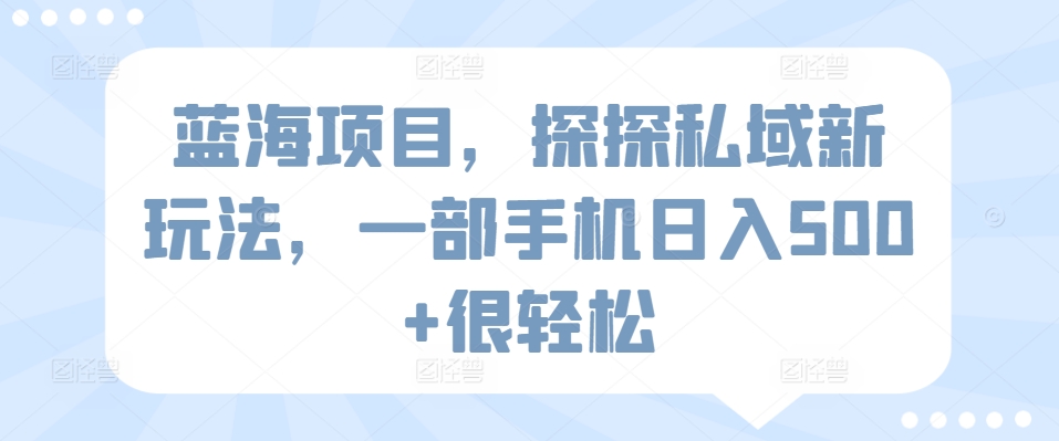 蓝海项目，探探私域新玩法，一部手机日入500+很轻松【揭秘】 - 163资源网-163资源网