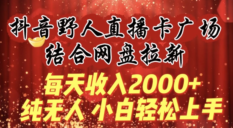 每天收入2000+，抖音野人直播卡广场，结合网盘拉新，纯无人，小白轻松上手【揭秘】 - 163资源网-163资源网