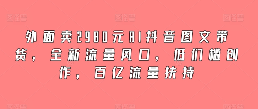 外面卖2980元AI抖音图文带货，全新流量风口，低们槛创作，百亿流量扶持 - 163资源网-163资源网