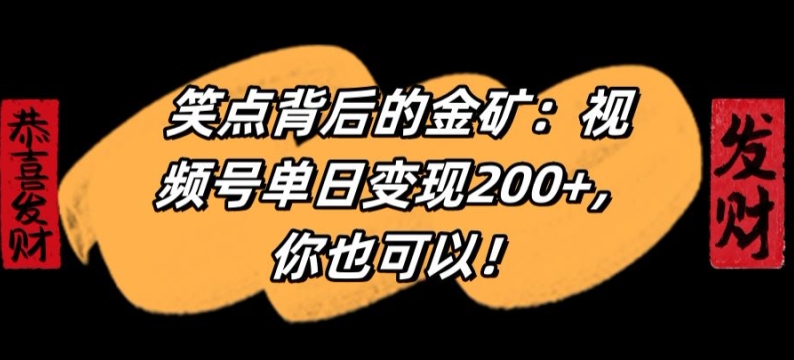 笑点背后的金矿：视频号单日变现200+，你也可以 - 163资源网-163资源网