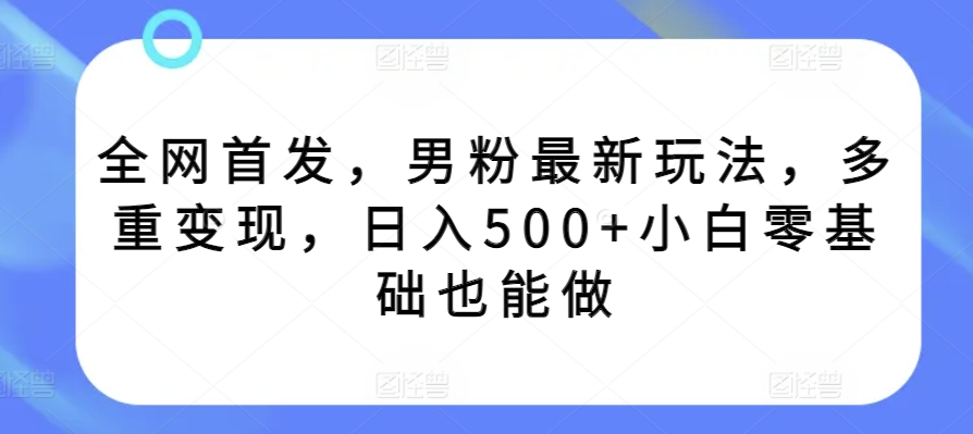 2024年抖音快手最新项目拆解视频引流创业粉，一天轻松引流精准创业粉100+ - 163资源网-163资源网