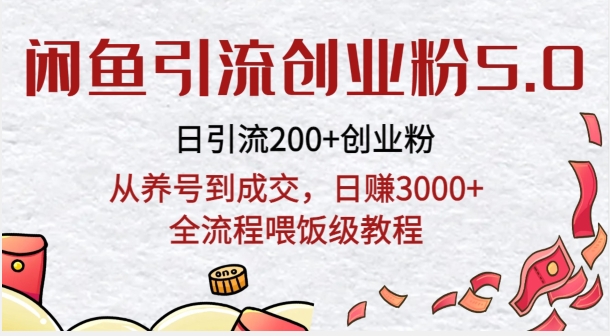 闲鱼引流创业粉5.0技术，日引200+创业粉，从养号到成交，日赚3000+全流程喂饭级教程 - 163资源网-163资源网