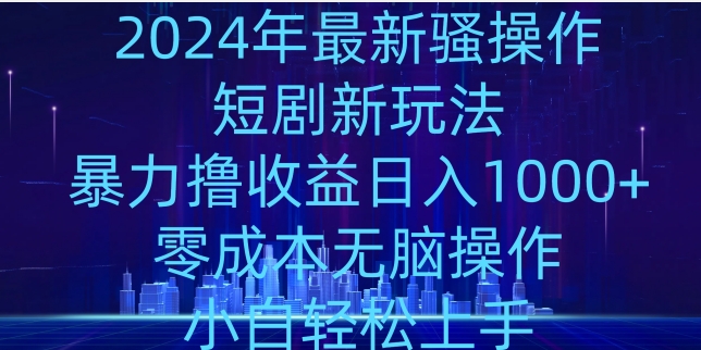 2024年骚操作短剧新玩法，暴力撸收益日入1000+，零成本无脑操作，小白轻松上手 - 163资源网-163资源网