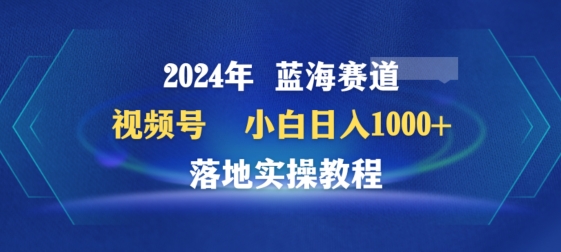 2024年视频号蓝海赛道百家讲坛，小白日入1000+，落地实操教程【揭秘】 - 163资源网-163资源网