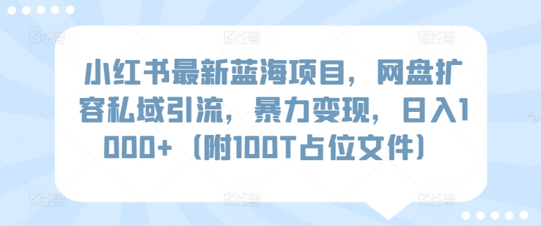 小红书最新蓝海项目，网盘扩容私域引流，暴力变现，日入1000+（附100T占位文件）【揭秘】 - 163资源网-163资源网