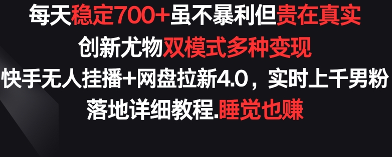 每天稳定700+，收益不高但贵在真实，创新尤物双模式多渠种变现，快手无人挂播+网盘拉新4.0【揭秘】 - 163资源网-163资源网