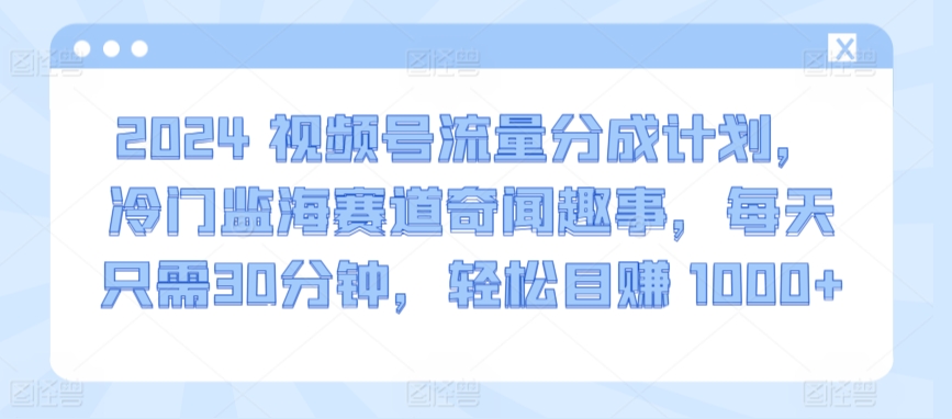 2024视频号流量分成计划，冷门监海赛道奇闻趣事，每天只需30分钟，轻松目赚 1000+【揭秘】 - 163资源网-163资源网