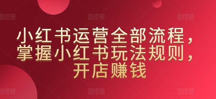 小红书运营全部流程，掌握小红书玩法规则，开店赚钱 - 163资源网-163资源网