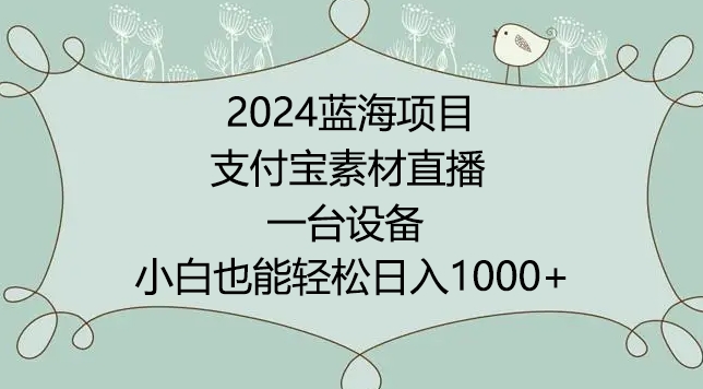 2024年蓝海项目，支付宝素材直播，无需出境，小白也能日入1000+ ，实操教程【揭秘】 - 163资源网-163资源网