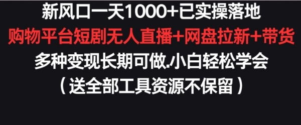 新风口一天1000+已实操落地购物平台短剧无人直播+网盘拉新+带货多种变现长期可做【揭秘】 - 163资源网-163资源网