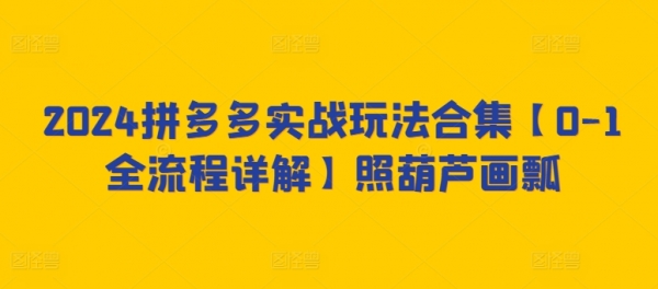 2024拼多多实战玩法合集【0-1全流程详解】照葫芦画瓢 - 163资源网-163资源网