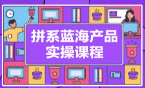 拼系冷门蓝海产品实操课程，从注册店铺到选品上架到流量维护环环相扣 - 163资源网-163资源网