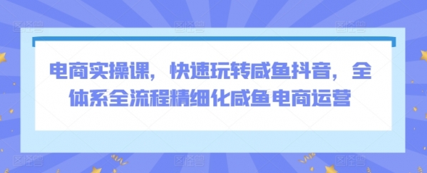 电商实操课，快速玩转咸鱼抖音，全体系全流程精细化咸鱼电商运营 - 163资源网-163资源网