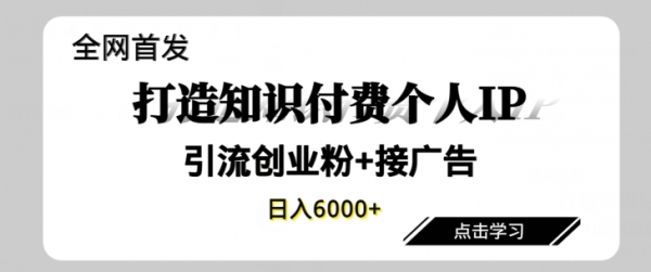 全网首发，商业大趋势项目，打造知识付费个人IP，引流创业粉，接广告，当日变现6000+ - 163资源网-163资源网