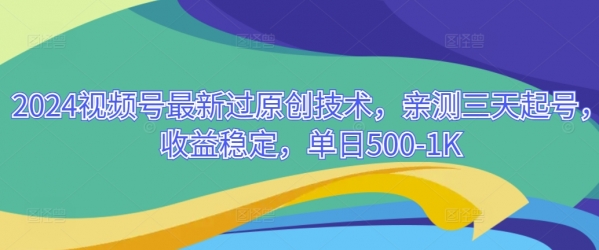 2024视频号最新过原创技术，亲测三天起号，收益稳定，单日500-1K - 163资源网-163资源网