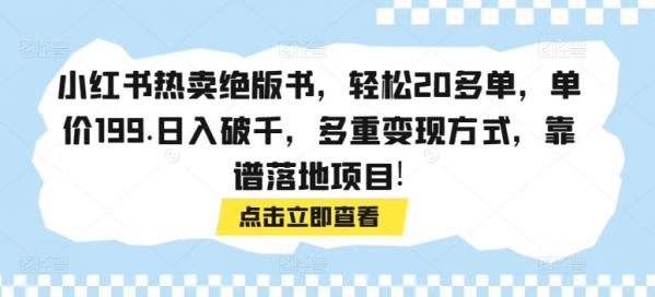 小红书热卖绝版书，轻松20多单，单价199.日入破千，多重变现方式，靠谱落地项目 - 163资源网-163资源网