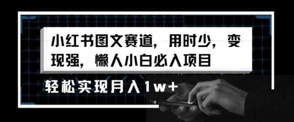 小红书图文赛道，用时少，变现强，懒人小白必入项目，轻松实现月入1w+ - 163资源网-163资源网