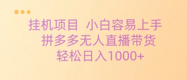 挂机项目拼多多无人直播带货，轻松日入1000+ - 163资源网-163资源网