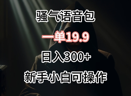 0成本卖骚气语音包，一单19.9.日入300+【揭秘】 - 163资源网-163资源网