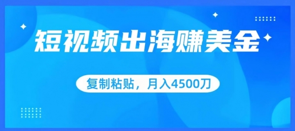 短视频出海赚美金，复制粘贴批量操作，小白轻松掌握，月入4500美刀【揭秘】 - 163资源网-163资源网