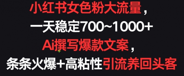 小红书女色粉大流量，一天稳定700~1000+ Ai撰写爆款文案，条条火爆+高粘性引流养回头客【揭秘】 - 163资源网-163资源网