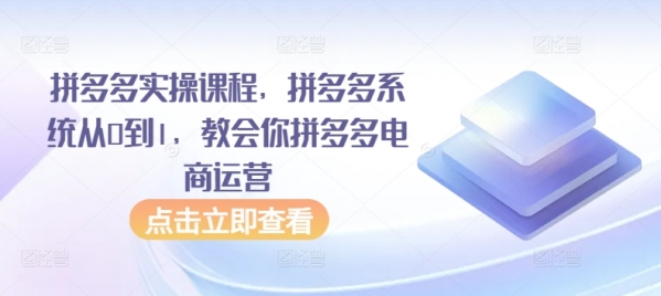 拼多多实操课程，拼多多系统从0到1，教会你拼多多电商运营 - 163资源网-163资源网