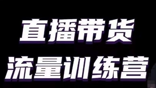 直播带货流量训练营，小白主播必学直播课 - 163资源网-163资源网