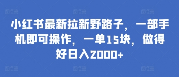 小红书最新拉新野路子，一部手机即可操作，一单15块，做得好日入2000+【揭秘】 - 163资源网-163资源网