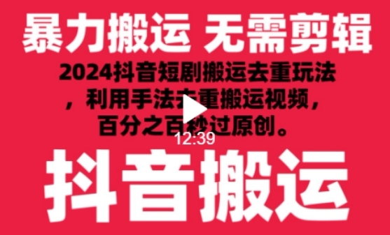 2024最新抖音搬运技术，抖音短剧视频去重，手法搬运，利用工具去重，达到秒过原创的效果【揭秘】 - 163资源网-163资源网