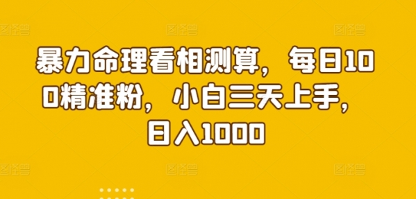 暴力命理看相测算，每日100精准粉，小白三天上手，日入1000 - 163资源网-163资源网