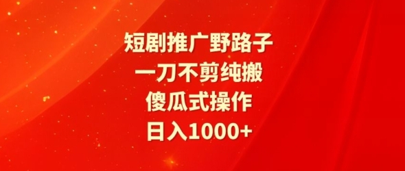 短剧推广野路子，一刀不剪纯搬运，傻瓜式操作，日入1000+ - 163资源网-163资源网