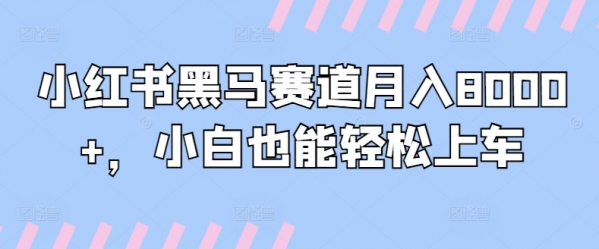 小红书黑马赛道月入8000+，小白也能轻松上车 - 163资源网-163资源网