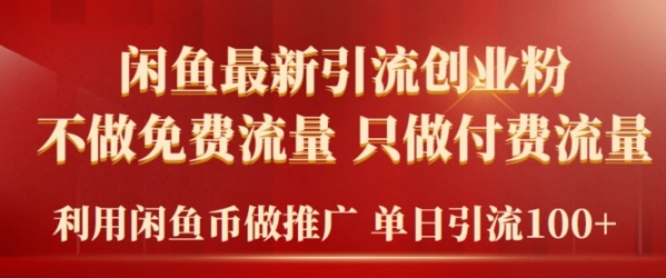 2024年闲鱼币推广引流创业粉，不做免费流量，只做付费流量，单日引流100+ - 163资源网-163资源网