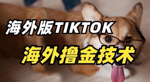 抖音海外版tiktok撸金技术，这个风口行业，赚钱真的不难【揭秘】 - 163资源网-163资源网