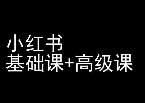 小红书基础课+高级课-小红书运营教程 - 163资源网-163资源网