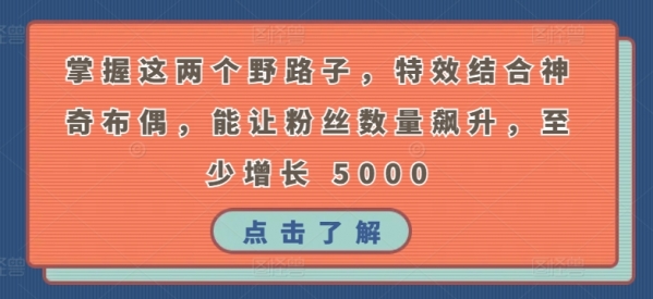 掌握这两个野路子，特效结合神奇布偶，能让粉丝数量飙升，至少增长 5000【揭秘】 - 163资源网-163资源网