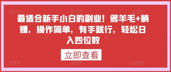 最适合新手小白的副业！薅羊毛+躺赚，操作简单，有手就行，轻松日入四位数【揭秘】 - 163资源网-163资源网