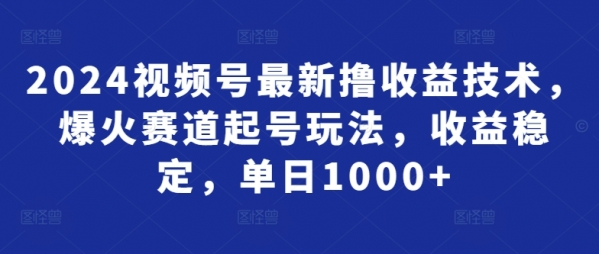 2024视频号最新撸收益技术，爆火赛道起号玩法，收益稳定，单日1000+ - 163资源网-163资源网