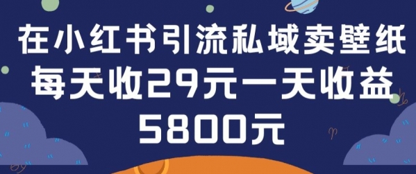 在小红书引流私域卖壁纸每张29元单日最高卖出200张(0-1搭建教程)【揭秘】 - 163资源网-163资源网