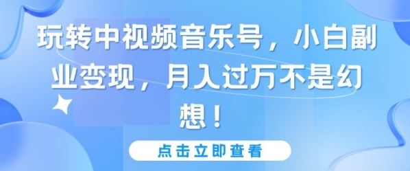 玩转中视频音乐号，小白副业变现，月入过万不是幻想【揭秘】 - 163资源网-163资源网