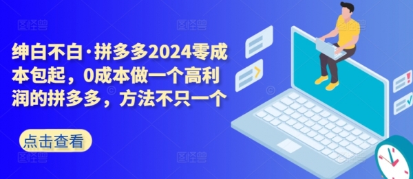 拼多多开店教程2024零成本包起，0成本做一个高利润的拼多多，方法不只一个 - 163资源网-163资源网