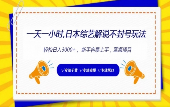 一天一小时， 日本综艺解说不封号玩法，轻松日入3000+， 新手容易上手 - 163资源网-163资源网