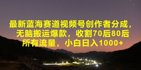 最新蓝海赛道视频号创作者分成，无脑搬运爆款，收割70后80后所有流量，小白日入1000 - 163资源网-163资源网