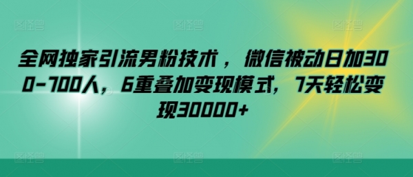 全网独家引流男粉技术 ，微信被动日加300-700人，6重叠加变现模式，7天轻松变现30000+ - 163资源网-163资源网