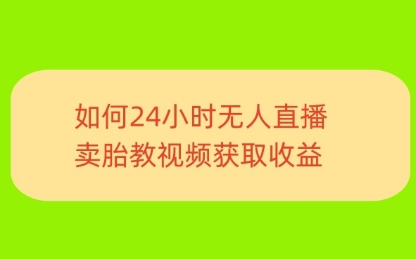 一单利润19.9.24小时无人直播胎教故事，每天轻松200+ - 163资源网-163资源网