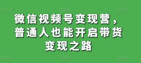 微信视频号变现营，普通人也能开启带货变现之路 - 163资源网-163资源网