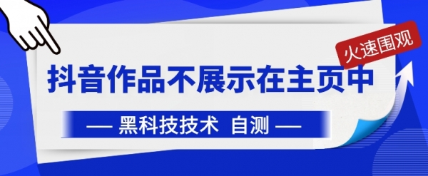 抖音黑科技：抖音作品不展示在主页中【揭秘】 - 163资源网-163资源网