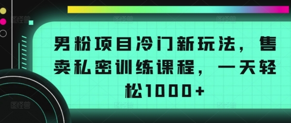 男粉项目冷门新玩法，售卖私密训练课程，一天轻松1000+【揭秘】 - 163资源网-163资源网