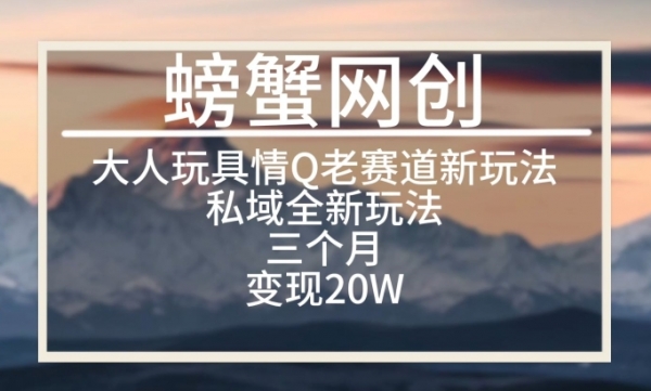 大人玩具情Q用品赛道私域全新玩法，三个月变现20W，老项目新思路【揭秘】 - 163资源网-163资源网