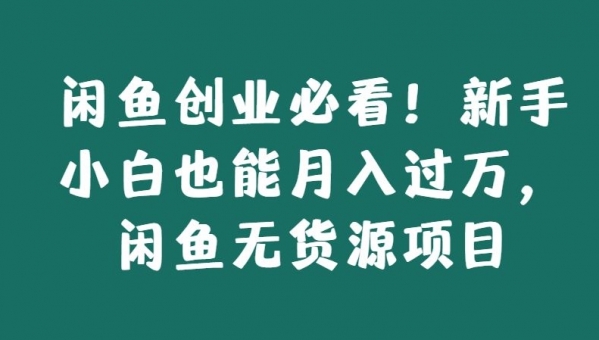 闲鱼创业必看！新手小白也能月入过万，闲鱼无货源项目 - 163资源网-163资源网